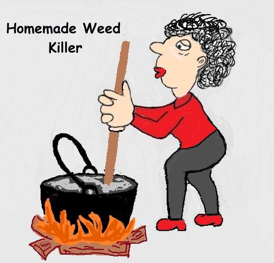 Homemade weed killer is a non toxic answer to a common problem. If you have a yard, you have an endless supply of weeds.